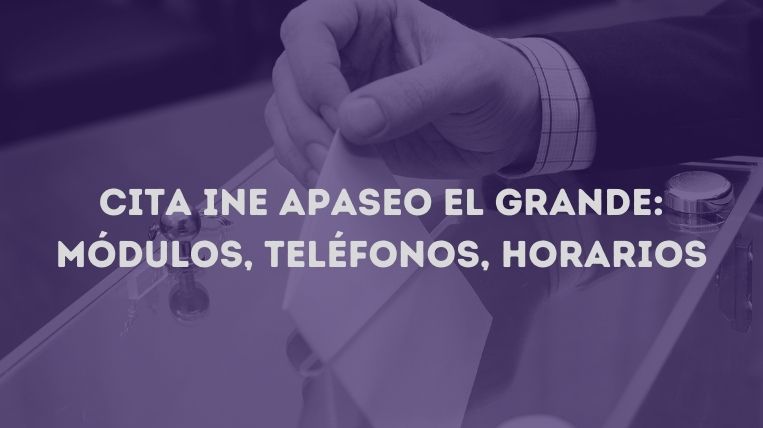 cita-ine-apaseo-el-grande
