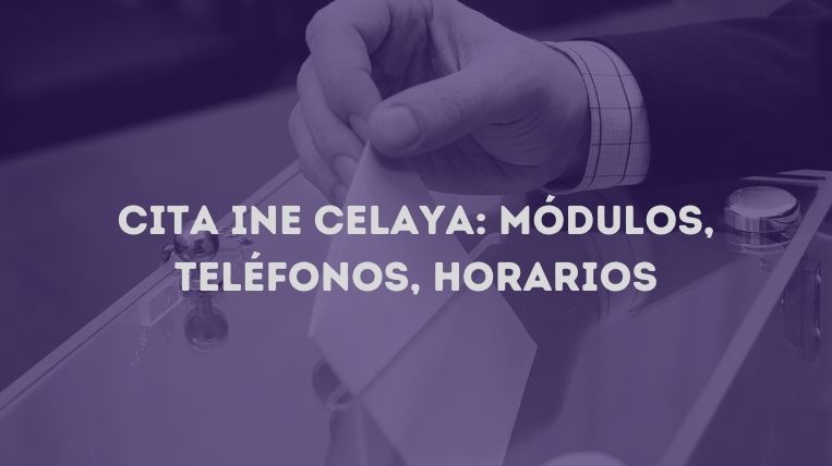 cita-ine-celaya