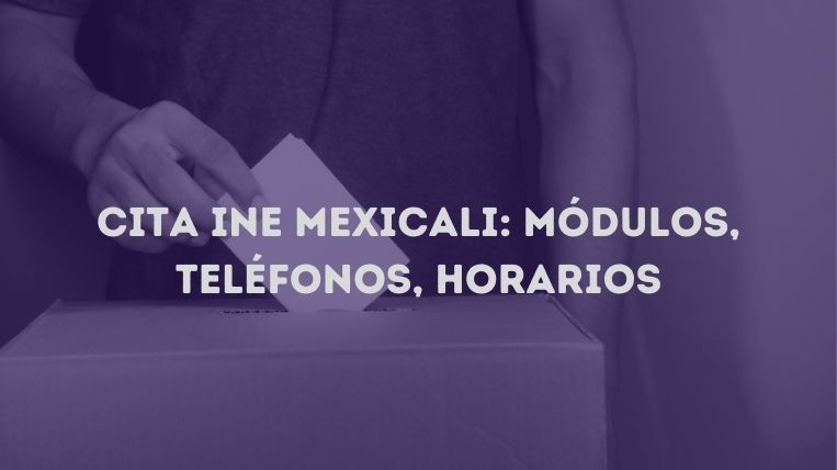 cita-ine-mexicali
