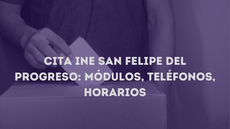 cita-ine-san-felipe-del-progreso