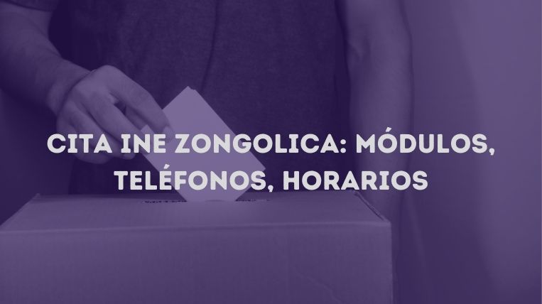 cita-ine-zongolica